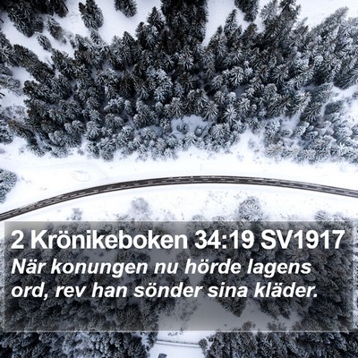 2 Krönikeboken 34:19 SV1917 Bible Verse Image