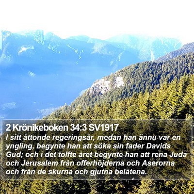 2 Krönikeboken 34:3 SV1917 Bible Verse Image