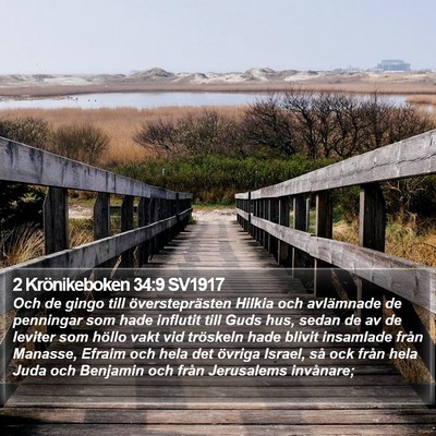 2 Krönikeboken 34:9 SV1917 Bible Verse Image