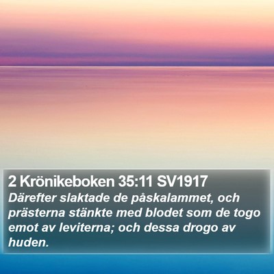 2 Krönikeboken 35:11 SV1917 Bible Verse Image