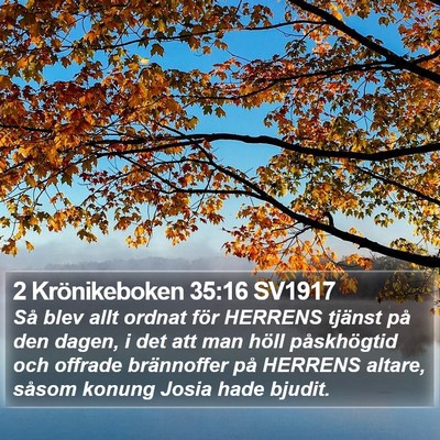 2 Krönikeboken 35:16 SV1917 Bible Verse Image