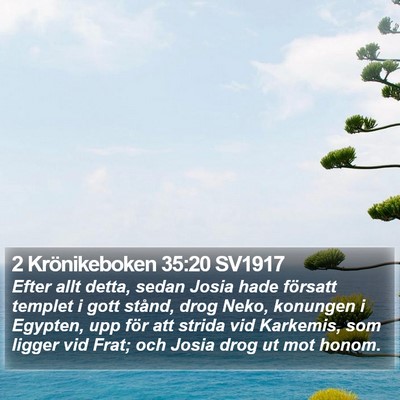 2 Krönikeboken 35:20 SV1917 Bible Verse Image