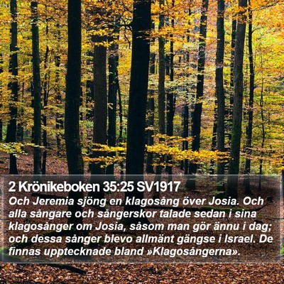 2 Krönikeboken 35:25 SV1917 Bible Verse Image