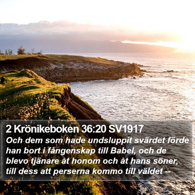 2 Krönikeboken 36:20 SV1917 Bible Verse Image