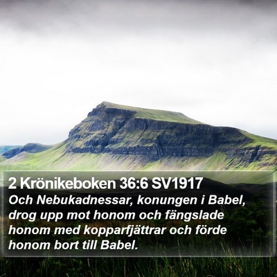 2 Krönikeboken 36:6 SV1917 Bible Verse Image