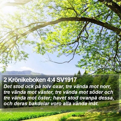 2 Krönikeboken 4:4 SV1917 Bible Verse Image