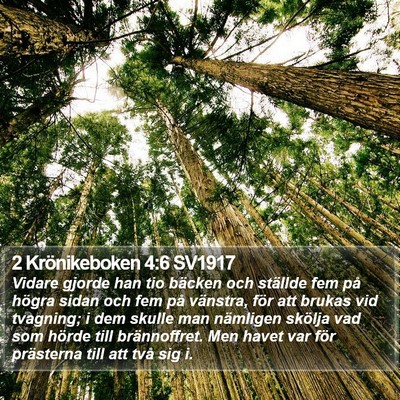 2 Krönikeboken 4:6 SV1917 Bible Verse Image