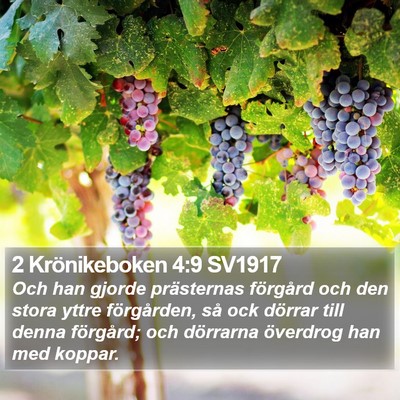 2 Krönikeboken 4:9 SV1917 Bible Verse Image