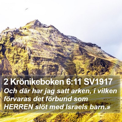 2 Krönikeboken 6:11 SV1917 Bible Verse Image