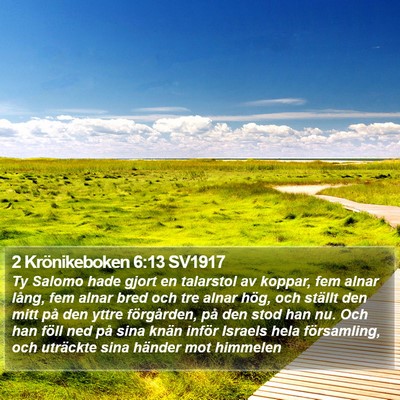 2 Krönikeboken 6:13 SV1917 Bible Verse Image