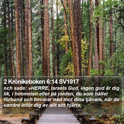 2 Krönikeboken 6:14 SV1917 Bible Verse Image