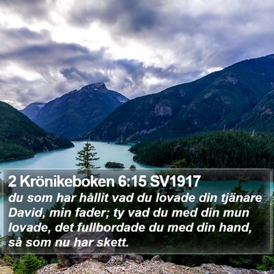 2 Krönikeboken 6:15 SV1917 Bible Verse Image