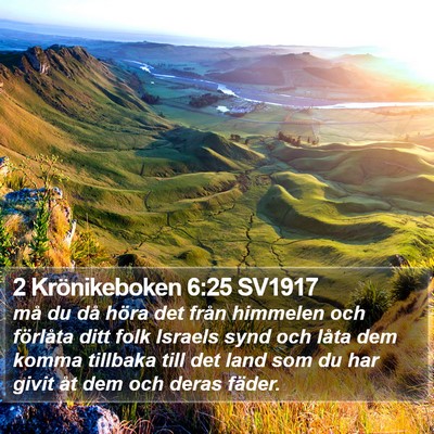2 Krönikeboken 6:25 SV1917 Bible Verse Image