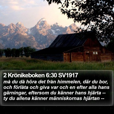 2 Krönikeboken 6:30 SV1917 Bible Verse Image