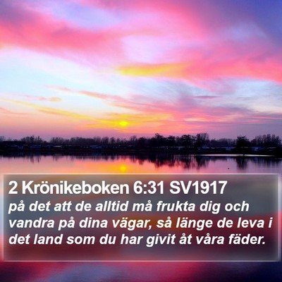 2 Krönikeboken 6:31 SV1917 Bible Verse Image