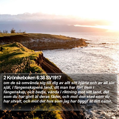 2 Krönikeboken 6:38 SV1917 Bible Verse Image