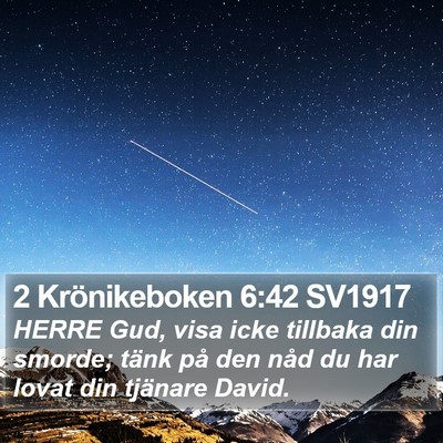 2 Krönikeboken 6:42 SV1917 Bible Verse Image