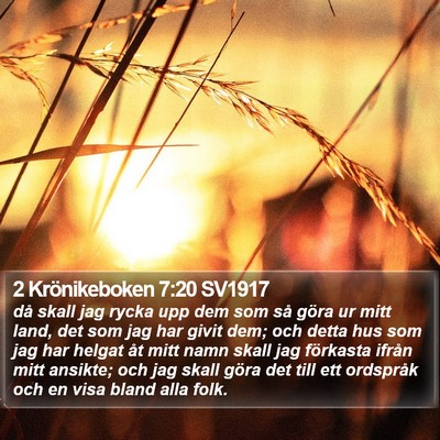 2 Krönikeboken 7:20 SV1917 Bible Verse Image