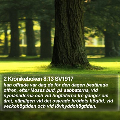 2 Krönikeboken 8:13 SV1917 Bible Verse Image