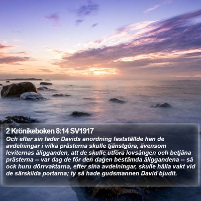 2 Krönikeboken 8:14 SV1917 Bible Verse Image
