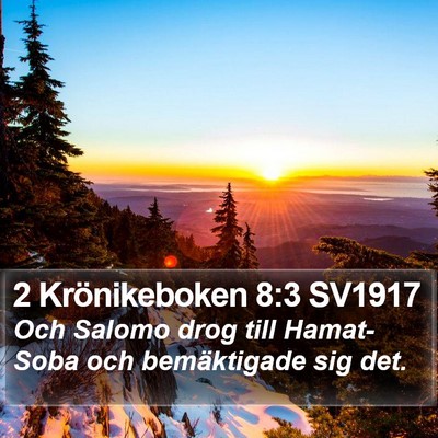 2 Krönikeboken 8:3 SV1917 Bible Verse Image