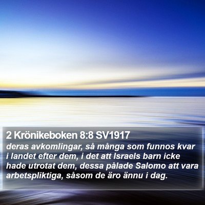 2 Krönikeboken 8:8 SV1917 Bible Verse Image