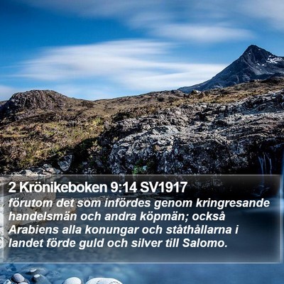 2 Krönikeboken 9:14 SV1917 Bible Verse Image