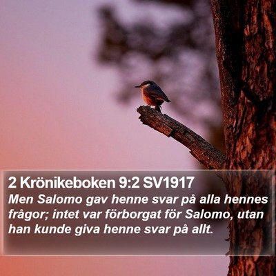 2 Krönikeboken 9:2 SV1917 Bible Verse Image