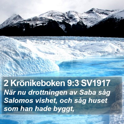 2 Krönikeboken 9:3 SV1917 Bible Verse Image