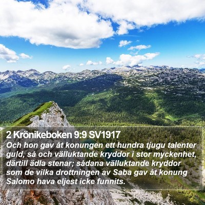 2 Krönikeboken 9:9 SV1917 Bible Verse Image