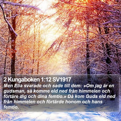 2 Kungaboken 1:12 SV1917 Bible Verse Image