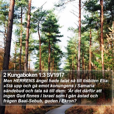 2 Kungaboken 1:3 SV1917 Bible Verse Image