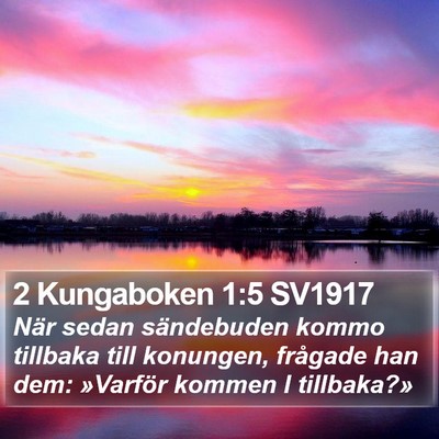 2 Kungaboken 1:5 SV1917 Bible Verse Image