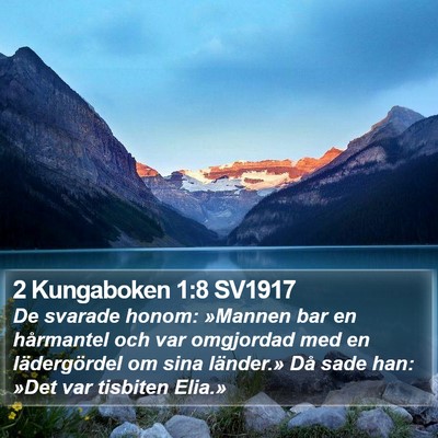 2 Kungaboken 1:8 SV1917 Bible Verse Image