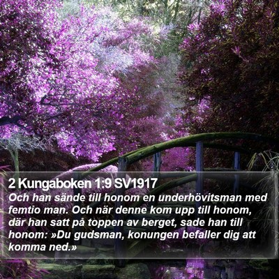 2 Kungaboken 1:9 SV1917 Bible Verse Image