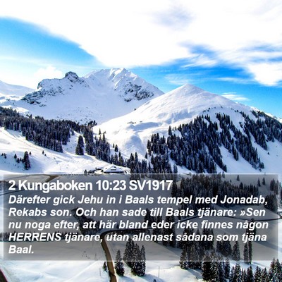 2 Kungaboken 10:23 SV1917 Bible Verse Image