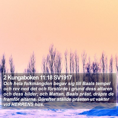 2 Kungaboken 11:18 SV1917 Bible Verse Image