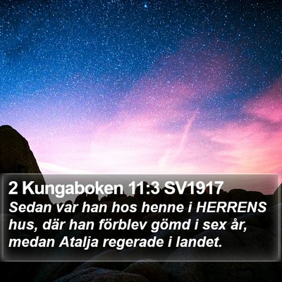 2 Kungaboken 11:3 SV1917 Bible Verse Image