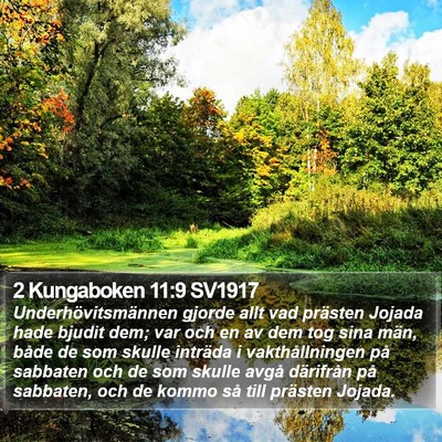 2 Kungaboken 11:9 SV1917 Bible Verse Image
