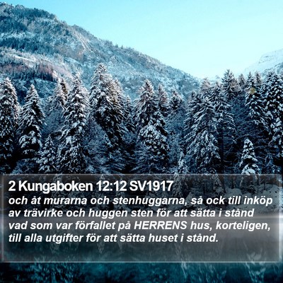 2 Kungaboken 12:12 SV1917 Bible Verse Image