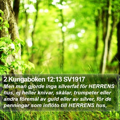 2 Kungaboken 12:13 SV1917 Bible Verse Image
