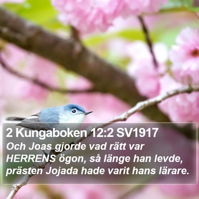 2 Kungaboken 12:2 SV1917 Bible Verse Image