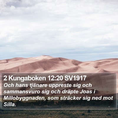 2 Kungaboken 12:20 SV1917 Bible Verse Image