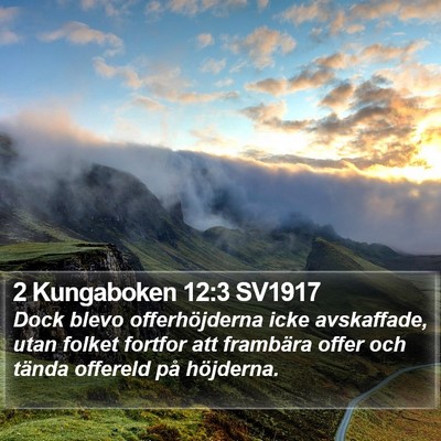 2 Kungaboken 12:3 SV1917 Bible Verse Image