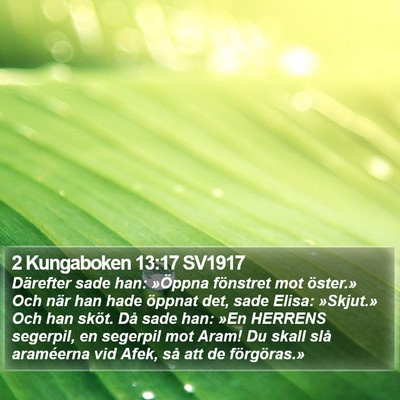 2 Kungaboken 13:17 SV1917 Bible Verse Image