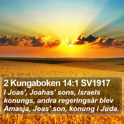 2 Kungaboken 14:1 SV1917 Bible Verse Image