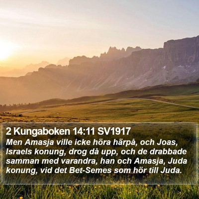 2 Kungaboken 14:11 SV1917 Bible Verse Image
