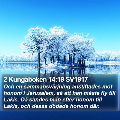 2 Kungaboken 14:19 SV1917 Bible Verse Image