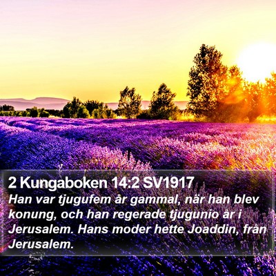 2 Kungaboken 14:2 SV1917 Bible Verse Image