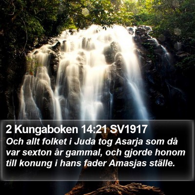 2 Kungaboken 14:21 SV1917 Bible Verse Image